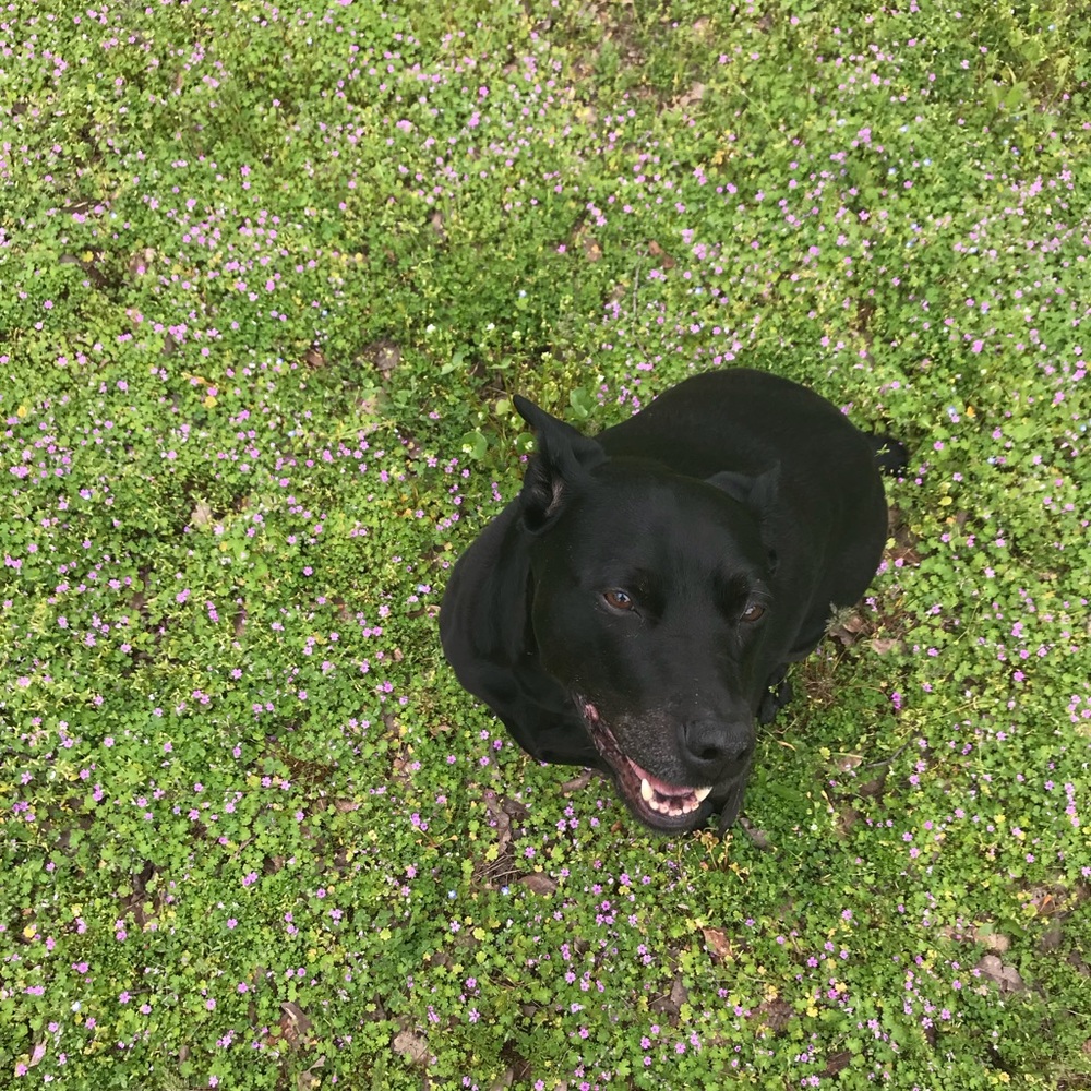 Meet your Posher, Sandy